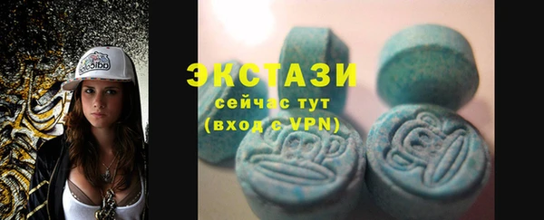 мдпв Богородицк
