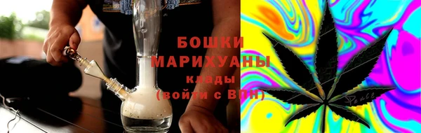 мдпв Богородицк
