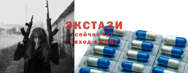 мдпв Богородицк