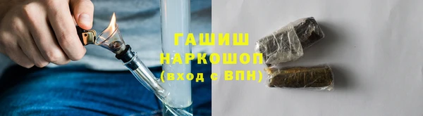 мдпв Богородицк