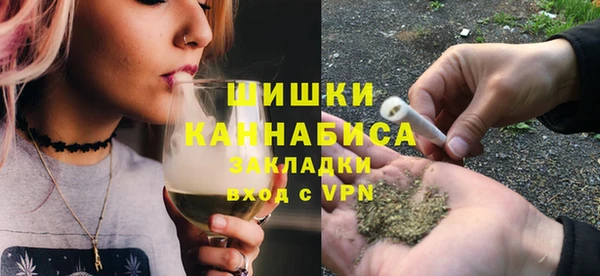 бошки Белокуриха