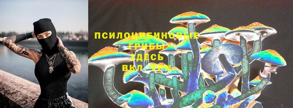 мдпв Богородицк