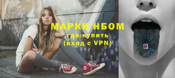 бошки Белокуриха