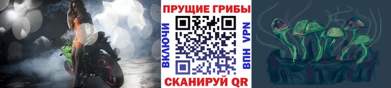 как найти закладки  Велиж  Галлюциногенные грибы Psilocybe 